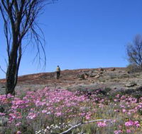 Talgomine Reserve - Accommodation Guide