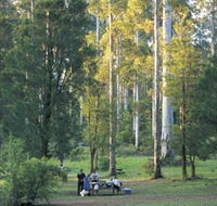 Big Brook Arboretum - Accommodation Guide