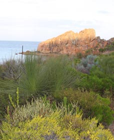 Meelup Trail - Accommodation Guide 0