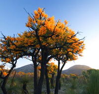 Cape Le Grand National Park - Accommodation Guide