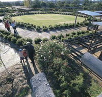 Kojonup Rose Maze - Accommodation Guide