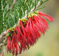 Ethel Daw Scenic Drive - Accommodation Guide