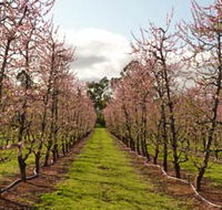 Raeburn Orchards