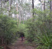 Margaret River Rails Trail - Accommodation China