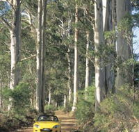 Scotsdale Tourist Drive