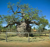 Pigeon Heritage Trail - Accommodation Asia