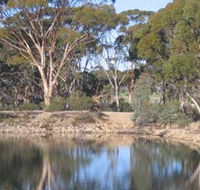 Merredin Railway Dam - Accommodation Guide