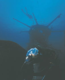 Swan Dive Wreck - Accommodation Guide 0