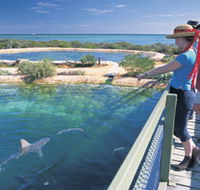 Shark Bay Marine Park - Accommodation Guide