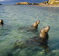 Shoalwater Islands Marine Park - Accommodation China