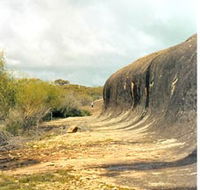 Totadgin Dam Reserve - Accommodation Guide