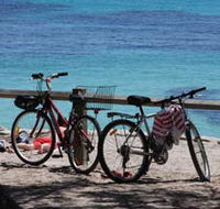 Parker Point Marine Snorkel Trail - Accommodation Guide