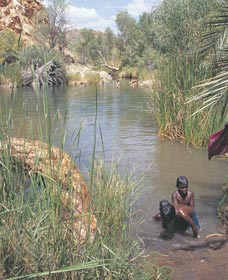 Palm Springs - Accommodation Guide 0