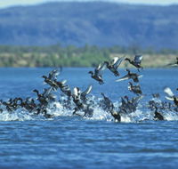 Ord River - Accommodation Asia