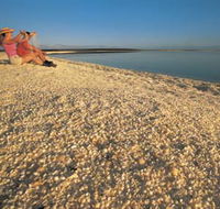 Shell Beach - Accommodation Guide
