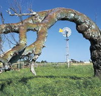 Greenough Leaning Trees - Accommodation Guide