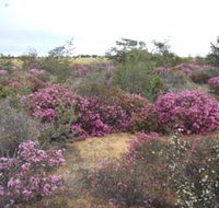 Reynoldson's Flora Reserve - Accommodation Asia