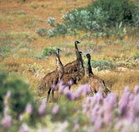 Jurabi Coastal Reserve - Accommodation Guide