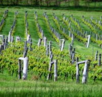 Sienna Estate Winery - Accommodation Guide