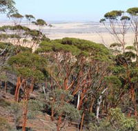 Mount Matilda Walk Trail Wongan Hills - Accommodation Asia