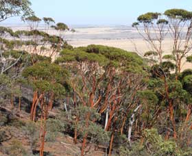 Mount Matilda Walk Trail, Wongan Hills - Accommodation Asia 0