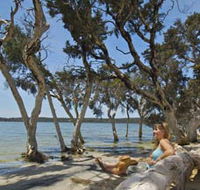 Stokes National Park - Accommodation Guide