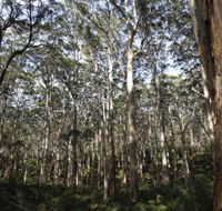 Boranup Karri Forest - Accommodation Guide