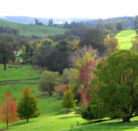 Golden Valley Tree Park - Accommodation Guide