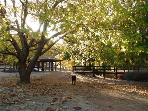 Golden Valley Tree Park - Accommodation Guide 1