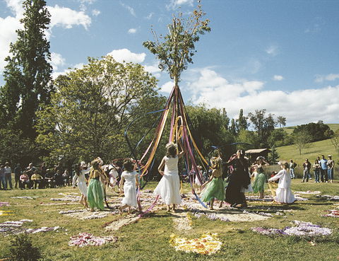 Golden Valley Tree Park - Accommodation Guide 5