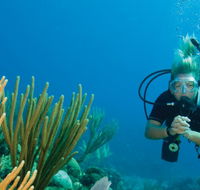 Coastal Water Dive - Accommodation Asia
