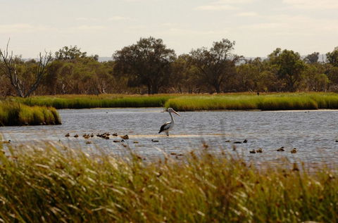 Anytime Adventures In Mandurah & The Peel Region - Accommodation Guide 0