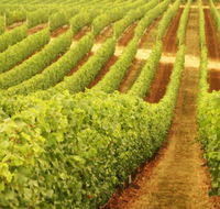 Happs Wines - Accommodation Asia