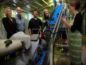 Eyre Peninsula's Seafood Trail - Accommodation Guide 0