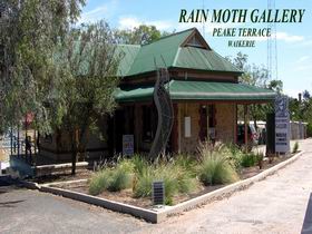 Rain Moth Gallery - Accommodation Guide 0