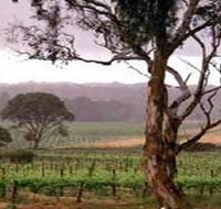 Yangarra Estate Vineyard - Accommodation Guide
