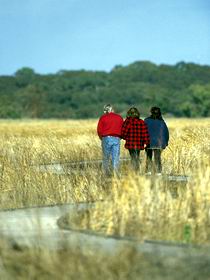 Noarlunga Centre SA Accommodation Guide