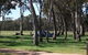 Black Cockatoo Bush Camp - thumb 0