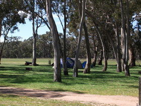 Black Cockatoo Bush Camp - Accommodation Asia 0