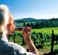 Ashton Hills Vineyard