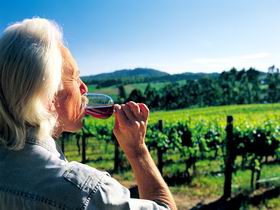 Ashton Hills Vineyard - Accommodation Asia 0