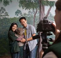Cleland Wildlife Park - Accommodation Guide