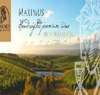 Maximus Wines Australia - Accommodation Guide