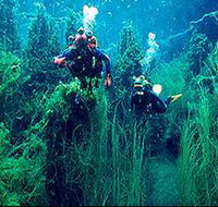Ewens Ponds Conservation Park - Accommodation Guide