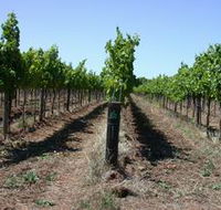 Temple Bruer Winery - Accommodation Guide