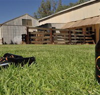 Wilkadene Woolshed Brewery - Accommodation Asia