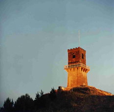 Centenary Tower - Accommodation Guide 0