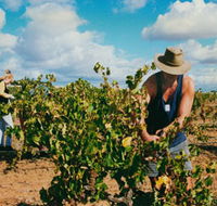 Torbreck Vintners - Accommodation China