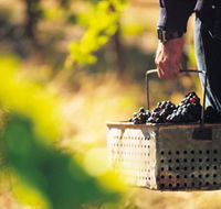 Burge Family Winemakers - Accommodation Guide
