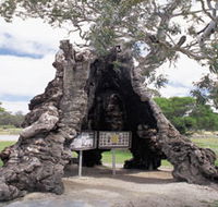 The Herbig Family Tree - Accommodation Guide